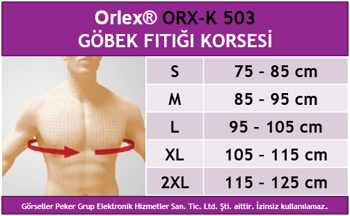 Dampigo ORX-K503 Göğüs Fıtığı Korsesi, beden tablosu